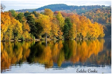 Etherow Student News